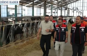 Aşılama, kayıt ve eğitim çalışmalarıyla hayvancılığa güçlü destek