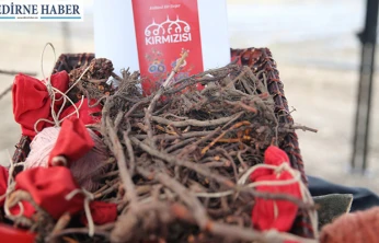 Asırlık renk ekonomiye kazandırıldı