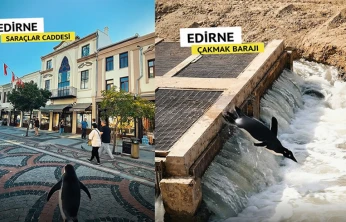 Belgin İba'dan Edirne tanıtımına katkı sağlayacak video
