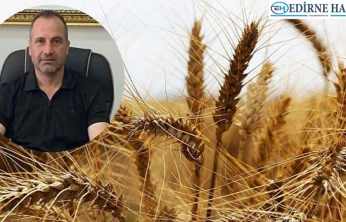 Durmaz 'Sıcak geçen kış buğdayın gelişimini öne çekti'