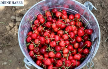 Edirne'nin gururu Çeribaşı Kirazı'na coğrafi işaret tescili