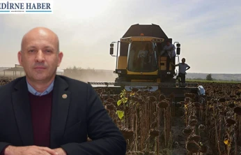 Edirne tarımı kuraklıkla mücadele ediyor
