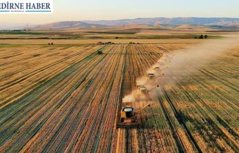 Edirne Ziraat Odası'ndan TARSİM kuraklık desteği açıklaması