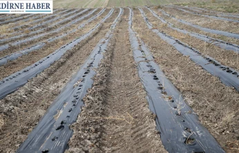 Efsane renk Edirne kırmızısı kentin ekonomik ve kültürel değerleri arasına girdi