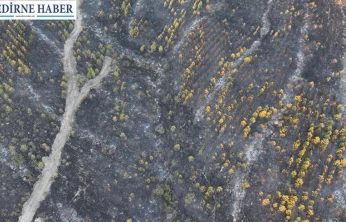 Enez yangınının bilançosu ağır