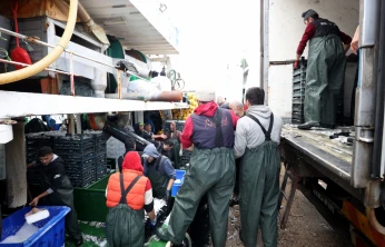 Hamsinin izini süren Karadenizli balıkçılar rotalarını İğneada'ya çevirdi