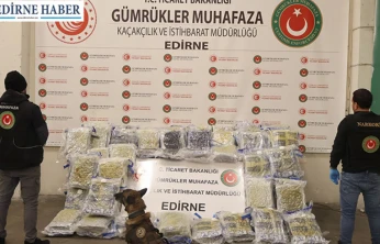 Kapıkule'de uyuşturucu operasyonu