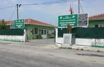 Köpeği iple sürükleyen şüpheliye adli kontrol