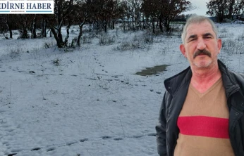 Kuraklığın ardından gelen yağışlar tarıma can suyu oldu