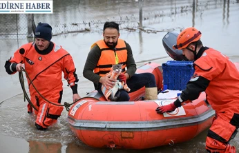Meriç Nehri'nde mahsur kalan hayvanlar kurtarıldı