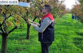 Meyve bahçelerinde zararlı yoğunluğunu yakından izleniyor