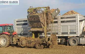 Pancar hasadı sürüyor