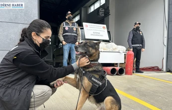 Pazarkule Sınır Kapısı'nda otomobilde 19 kilo 692 gram esrar ele geçirildi