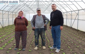 Seracılık hamlesi meyvelerini vermeye başladı