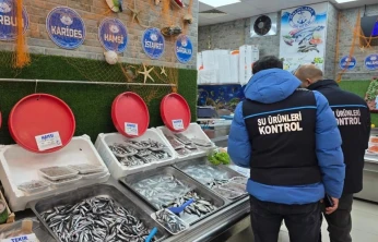 Su ürünlerinde denetimler aralıksız sürüyor