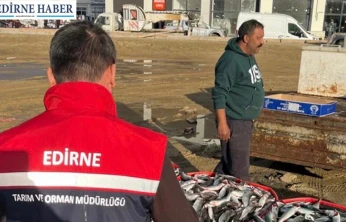 Su ürünlerinde denetimler aralıksız sürüyor