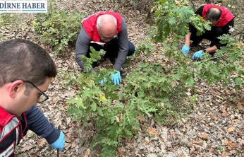 Tarım il müdürlüğü ekiplerinden verim kaybına karşı erken önlem
