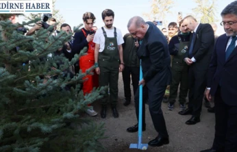 Türkiye'de yeşil seferberlik