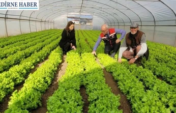 Üretim alanlarında yakından takip uzman ekipler sahada