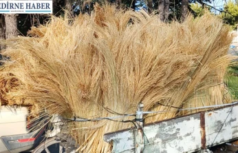 Yeni mahsul süpürge teli Borsa'da satıldı
