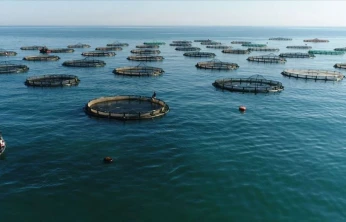 Yumaklı: 'Balık üretiminde Cumhuriyet tarihinin rekorunu kırdık'