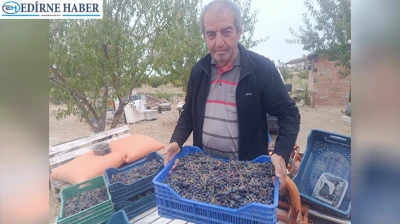 Bahçesinde yetiştirdiği aronyayı Türkiye'nin dört bir yanına gönderiyor