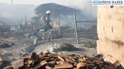 Köyde çıkan yangında 80 küçükbaş hayvan telef oldu