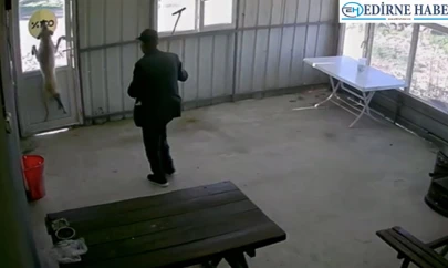 5 aylık köpek köy sakini tarafından bastonla dövüldü