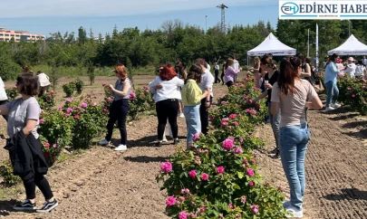 Edirne Gülü için hasat şenliği düzenlendi