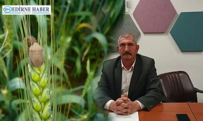 Ekili arazilerde zararlı böcekler tespit edildi