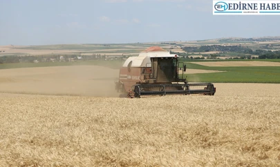 Üreticilerin buğday hasat mesaisi başladı