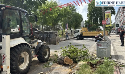 Yola devrilen ağaç trafikte aksamalara neden oldu