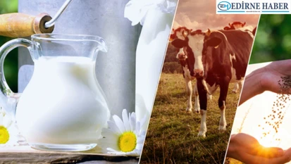 3 milyar 91 milyon liralık destek ödemeleri yatırılmaya başladı