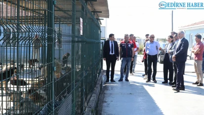 Edirne'de hayvan barınakları incelendi