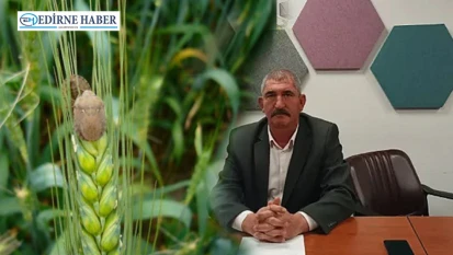 Ekili arazilerde zararlı böcekler tespit edildi