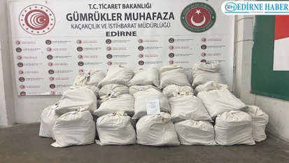 Kapıkule'de iki tırda 318 kilogram uyuşturucu ele geçirildi