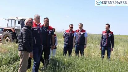 Yağcılı Köyü'nde suni merada ilk biçim