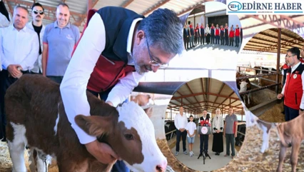 Güçlü besi güçlü üretim projesi başlıyor