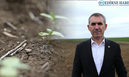 Kırbiç, 'Ayçiçeğinde şu ana kadar olumsuz bir tablo görmedik'