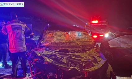 Otomobil sürücüsü hayatını kaybetti