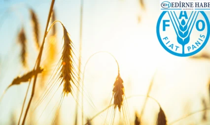 Türkiye FAO konsey üyeliğine seçildi