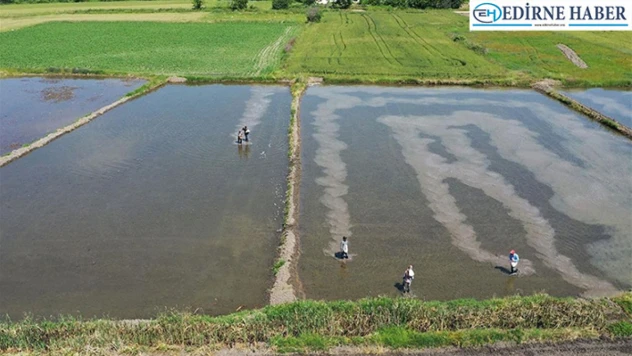 Çelebi 'Çakmak barajı bölge için hayati önem taşıyor'