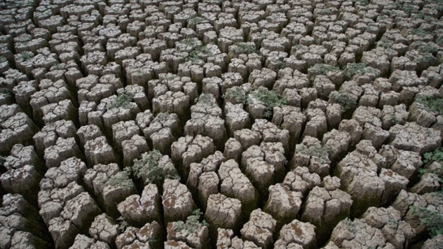 Edirne'de kuraklık riski halkı tedirgin ediyor