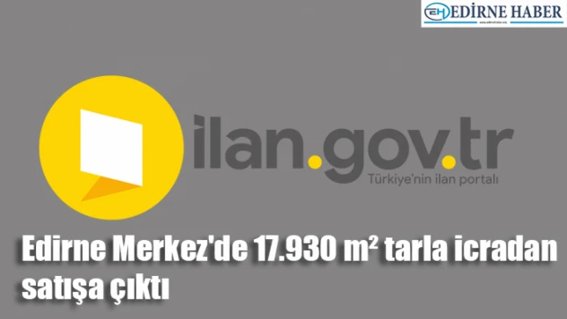 Edirne Merkez'de 17.930 m² tarla icradan satışa çıktı