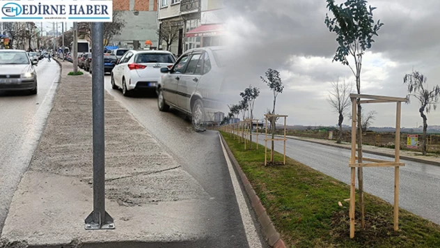 Kocasinan yeşeriyor, kıyık nefessiz kalıyor...