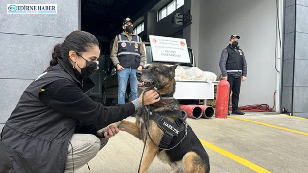Pazarkule Sınır Kapısı'nda otomobilde 19 kilo 692 gram esrar ele geçirildi