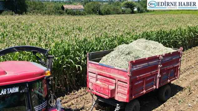 Son Gün 31 Aralık 2024