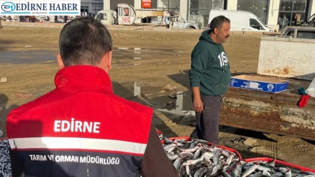 Su ürünlerinde denetimler aralıksız sürüyor