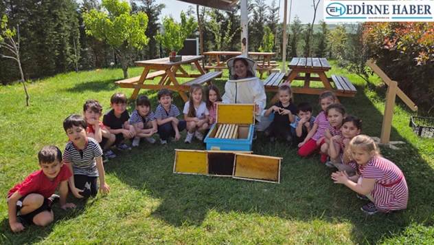 TED'li minikler arıların dünyasını tanıdı