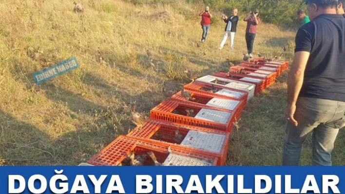 İnşallah vurulmazlarâ€¦